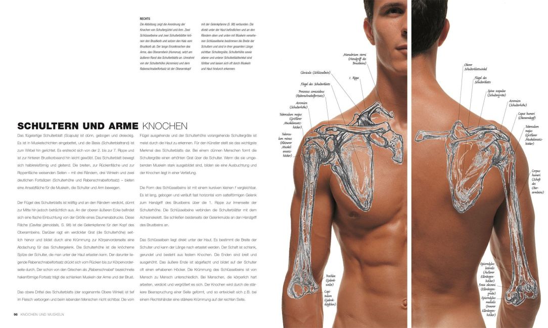 InsideView 3