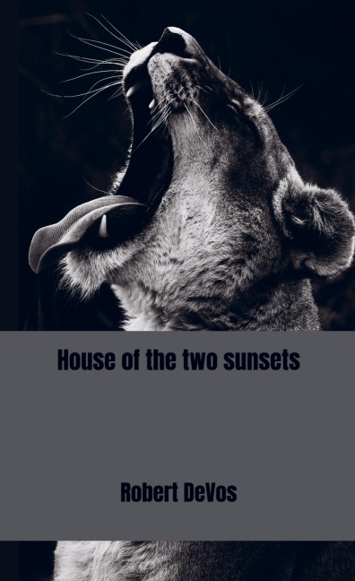 House of the two sunsets - Robert DeVos