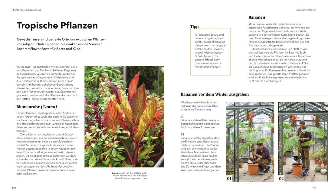 InsideView 7