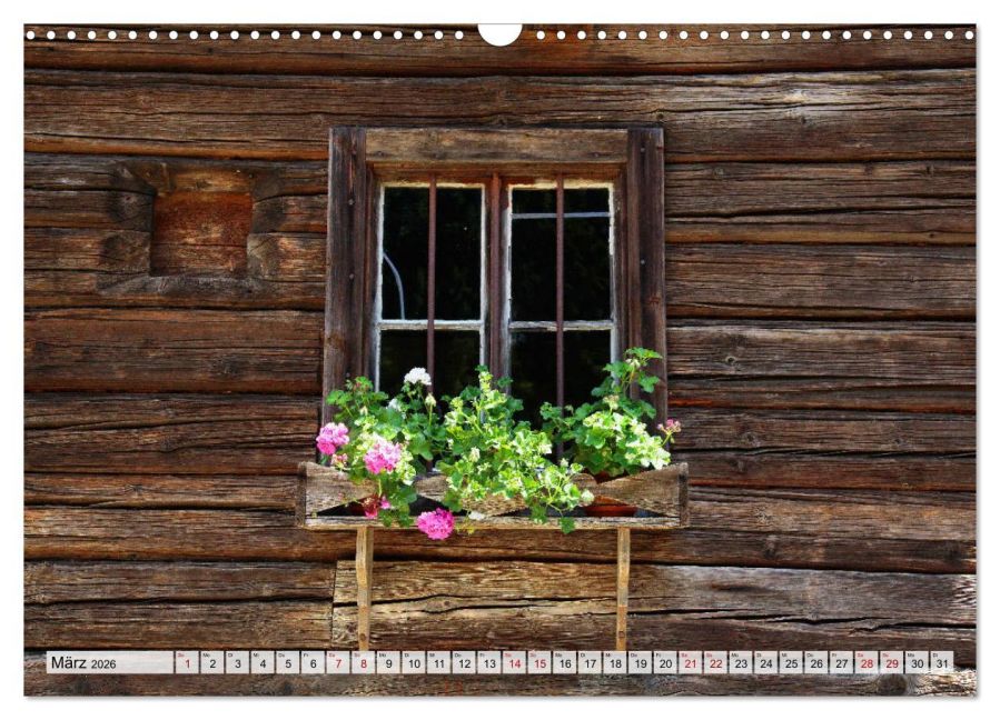 InsideView 8