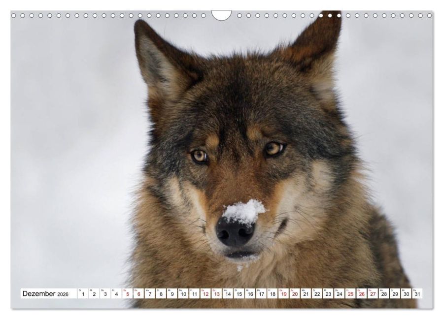 InsideView 4