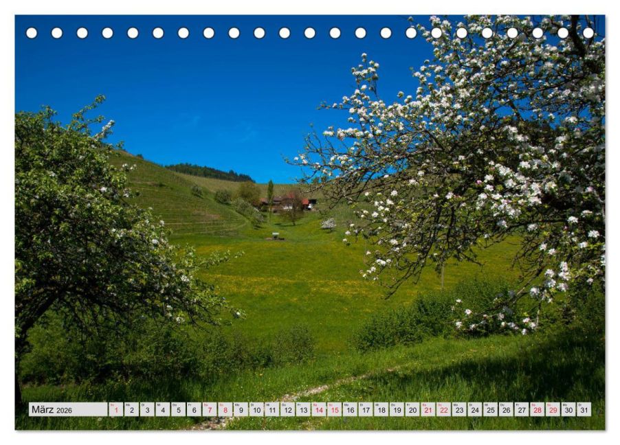 InsideView 8