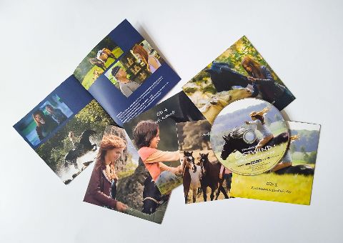 InsideView 3