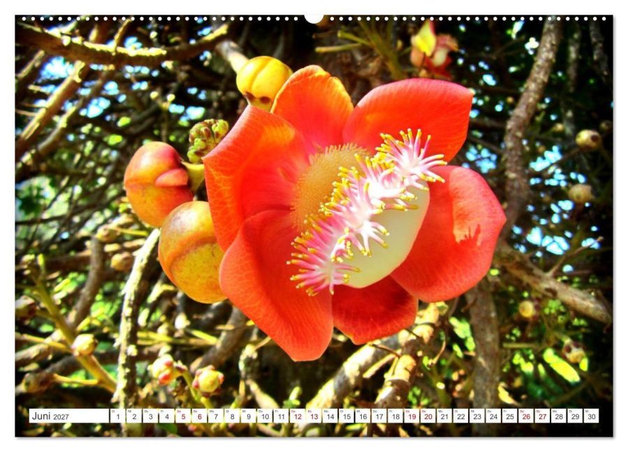 InsideView 10