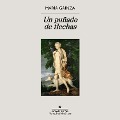 Cover-Bild zum Titel 'Un puñado de flechas' von 'María Gainza'