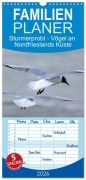 Familienplaner 2026 - Sturmerprobt - Vögel an Nordfrieslands Küste mit 5 Spalten (Wandkalender, 21 x 45 cm) CALVENDO - Gisela Braunleder