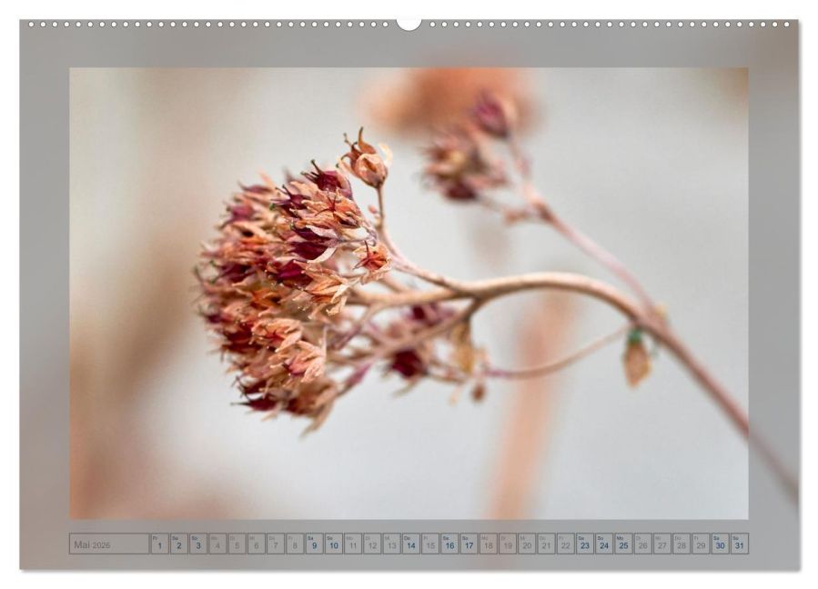 InsideView 10