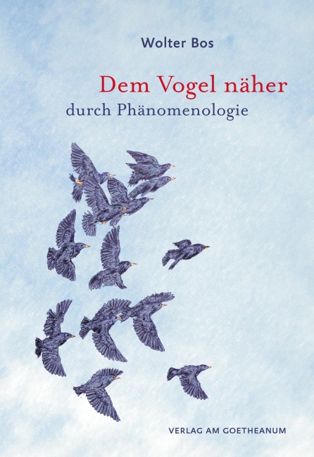 Dem Vogel näher - durch Phänomenologie - Wolter Bos