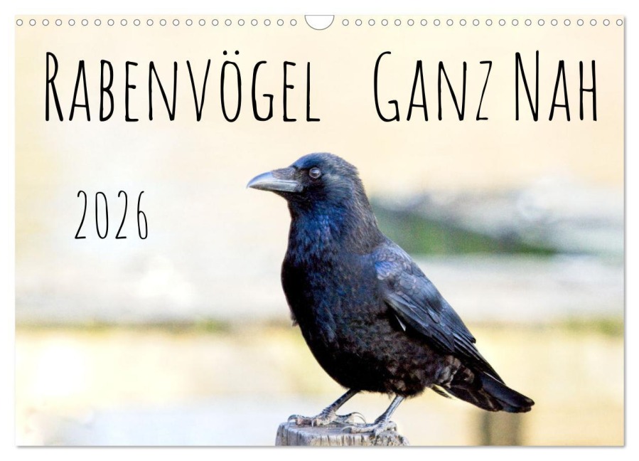 Rabenvögel - ganz nah (Wandkalender 2026 DIN A3 quer), CALVENDO Monatskalender - Kathrin Voss
