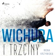 Cover-Bild zum Titel 'Wichura i trzciny' von 'Irena Krzywicka'