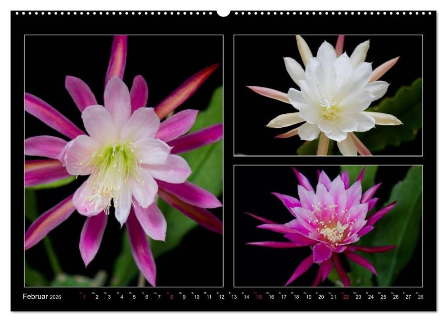 InsideView 7