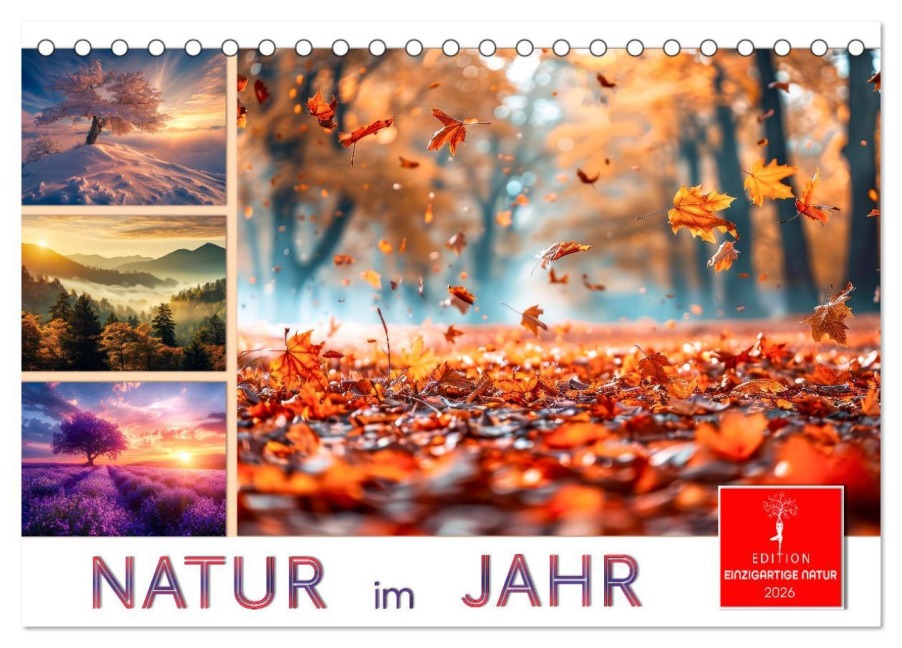 Natur im Jahr (Tischkalender 2026 DIN A5 quer), CALVENDO Monatskalender - Peter Roder
