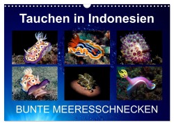 Cover-Bild zum Titel 'Tauchen in Indonesien - BUNTE MEERESSCHNECKEN (Wandkalender 2026 DIN A3 quer), CALVENDO Monatskalender' von 'Kathrin Landgraf-Kluge'