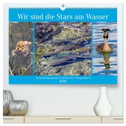 Cover-Bild zum Titel 'Wir sind die Stars am Wasser (hochwertiger Premium Wandkalender 2026 DIN A2 quer), Kunstdruck in Hochglanz' von 'Christa Kramer'