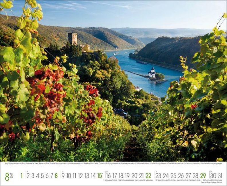 InsideView 8