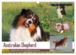 Cover-Bild zum Titel 'Australian Shepherd - Hütehunde mit Familienanschluss (Wandkalender 2026 DIN A3 quer), CALVENDO Monatskalender' von 'Barbara Mielewczyk'