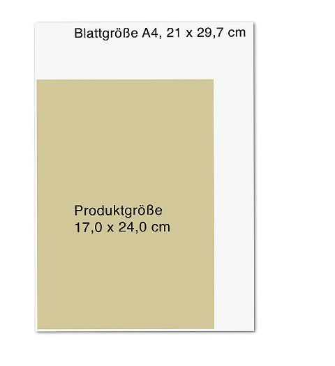 InsideView 8