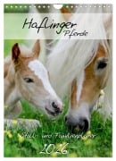 Haflinger Pferde - Stall- und Familienplaner 2026 (Wandkalender 2026 DIN A4 hoch), CALVENDO Monatskalender - Natural-Golden. de Natural-Golden. de
