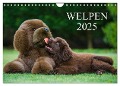 Welpen 2025 (Wandkalender 2025 DIN A4 quer), CALVENDO Monatskalender - Sigrid Starick