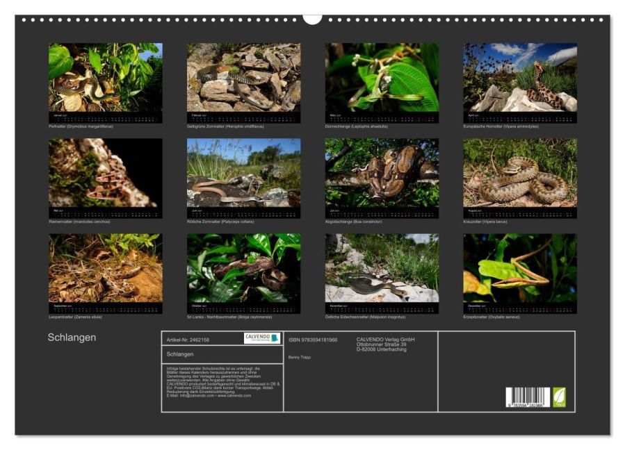 InsideView 5
