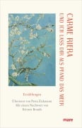Cover-Bild zum Titel 'Und ich lass dir als Pfand das Meer' von 'Carme Riera'