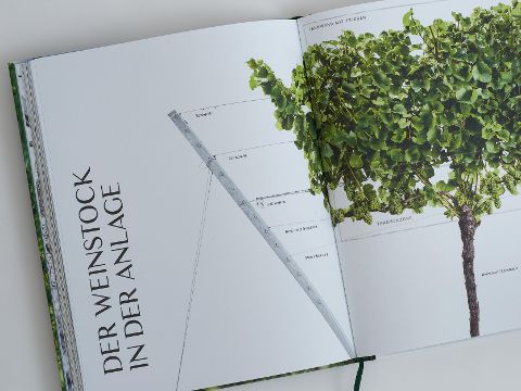 InsideView 5