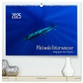 Pilotwale Unterwasser - Globicephala macrorhynchus (hochwertiger Premium Wandkalender 2025 DIN A2 quer), Kunstdruck in Hochglanz - Claudia Weber-Gebert