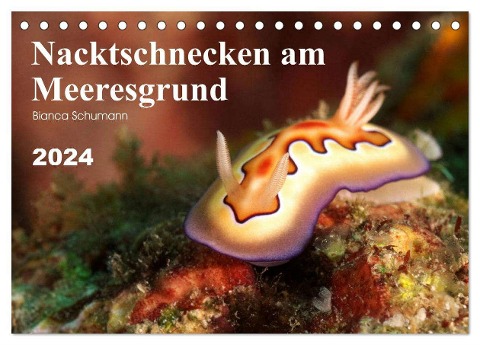 Nacktschnecken am Meeresgrund (Tischkalender 2024 DIN A5 quer), CALVENDO Monatskalender - Bianca Schumann