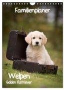 Familienplaner: Golden Retriever Welpen (Wandkalender 2026 DIN A4 hoch), CALVENDO Monatskalender - Anna Auerbach