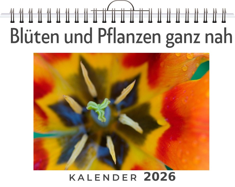 Blüten und Pflanzen ganz nah - Emily Schäfer