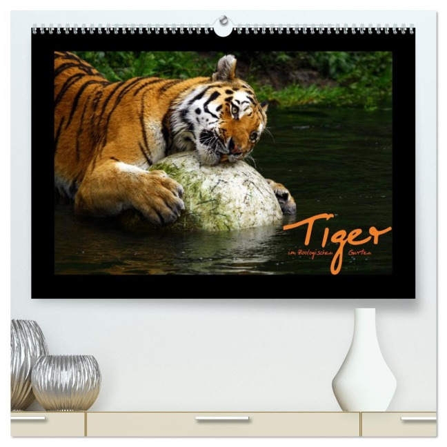 Welt der Katzen - Tiger (hochwertiger Premium Wandkalender 2026 DIN A2 quer), Kunstdruck in Hochglanz - Marcus Skupin