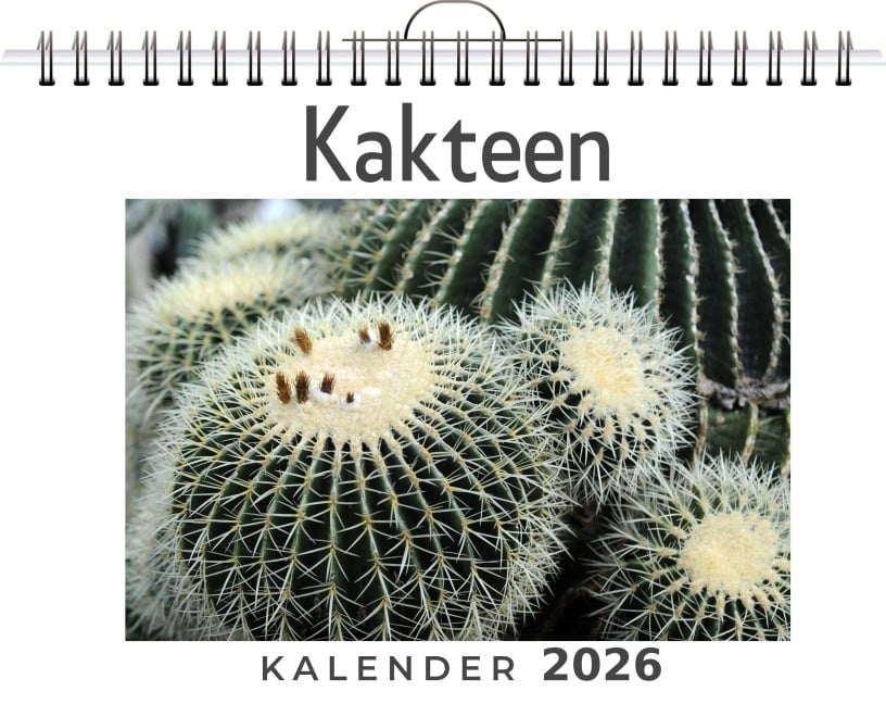 Kakteen - Nora Koch