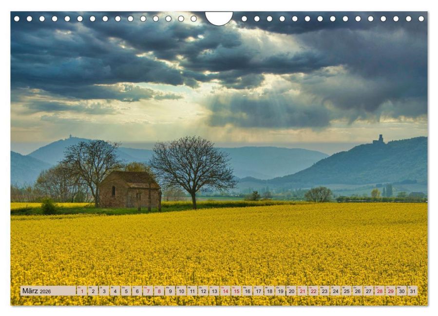 InsideView 8