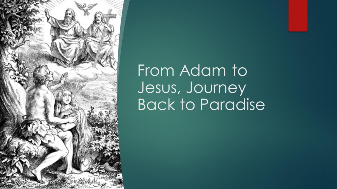 From Adam to Jesus, Journey Back to Paradise - Fernando Davalos