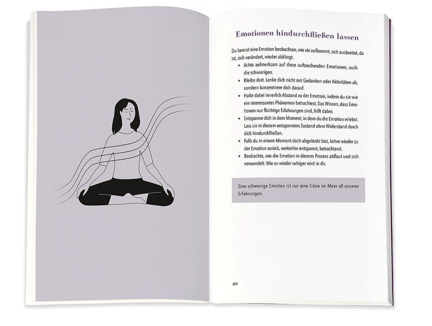 InsideView 5