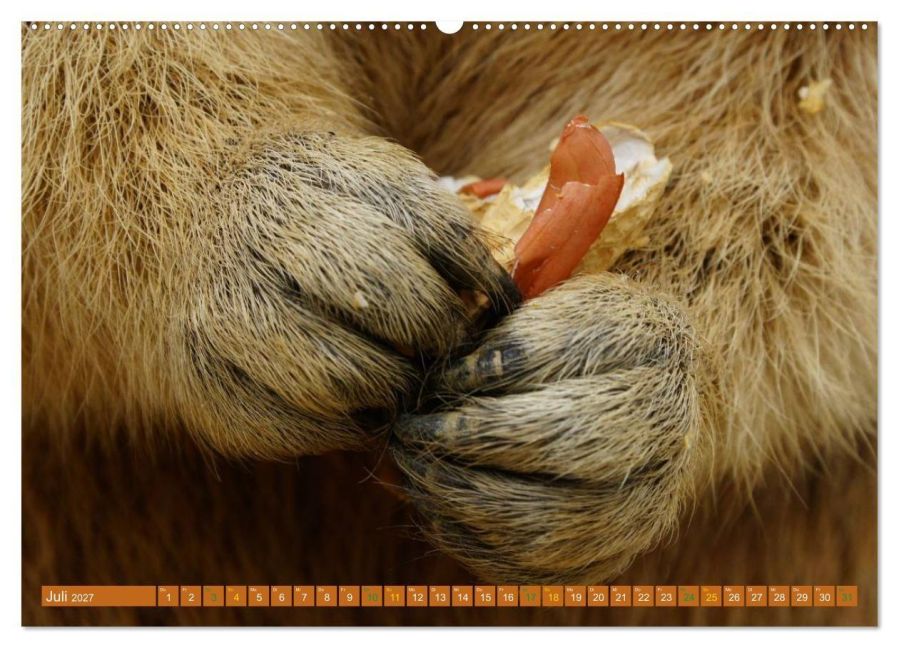InsideView 11