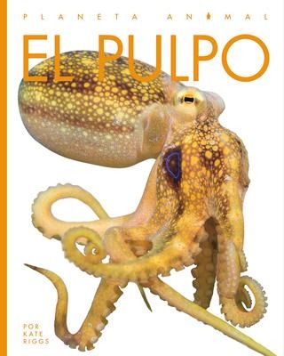 El Pulpo - Valerie Bodden