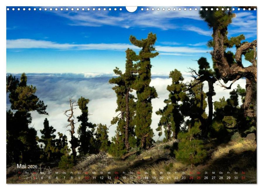 InsideView 10