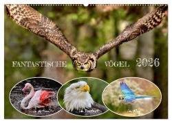 Cover-Bild zum Titel 'Fantastische Vögel (Wandkalender 2026 DIN A2 quer), CALVENDO Monatskalender' von 'Mirko Weigt (c) Hamburg'