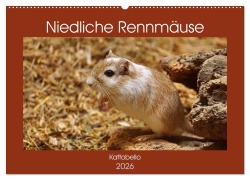 Niedliche Rennmäuse (Wandkalender 2026 DIN A2 quer), CALVENDO Monatskalender - Kattobello Kattobello