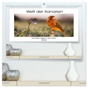 Cover-Bild zum Titel 'Welt der Kanarien (hochwertiger Premium Wandkalender 2026 DIN A2 quer), Kunstdruck in Hochglanz' von 'AkremaFotoArt AkremaFotoArt'