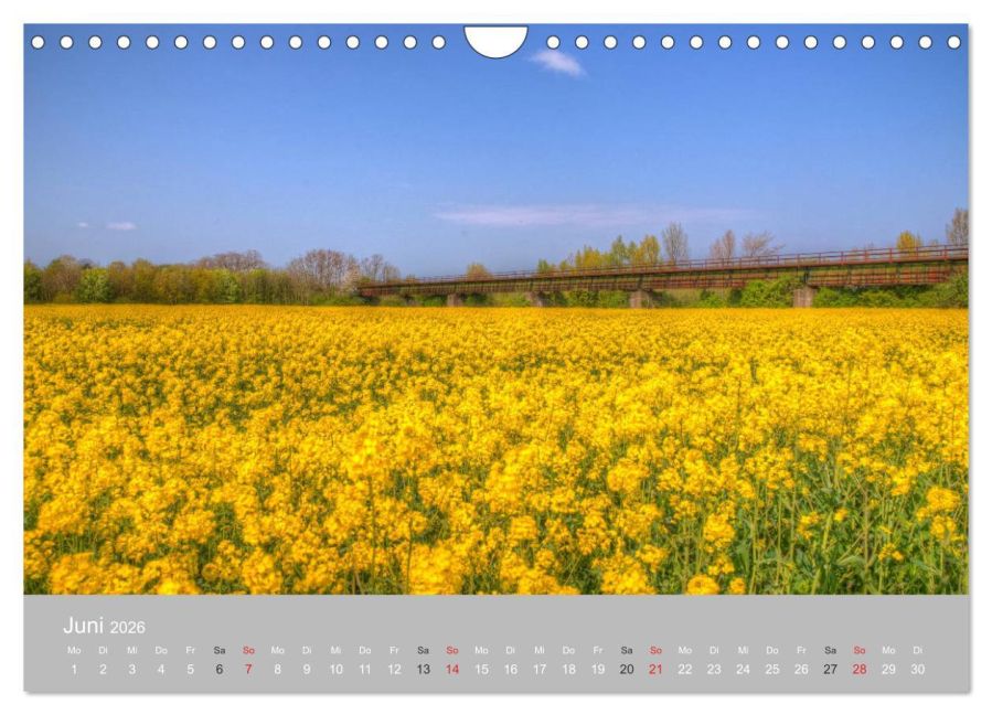 InsideView 11