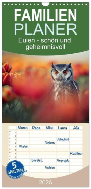 Familienplaner 2026 - Eulen - schön und geheimnisvoll mit 5 Spalten (Wandkalender, 21 x 45 cm) CALVENDO - Tanja Brandt