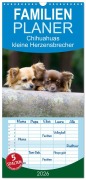 Familienplaner 2026 - Chihuahuas - kleine Herzensbrecher mit 5 Spalten (Wandkalender, 21 x 45 cm) CALVENDO - Verena Scholze