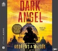 Cover-Bild zum Titel 'Dark Angel' von 'Brian Andrews, Jeffrey Wilson'