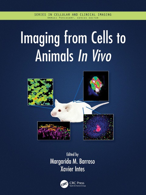 Imaging from Cells to Animals In Vivo - 