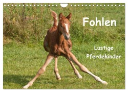 Cover-Bild zum Titel 'Fohlen - Lustige Pferdekinder (Wandkalender 2026 DIN A4 quer), CALVENDO Monatskalender' von 'Meike Bölts'