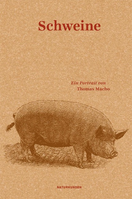 Schweine - Thomas Macho