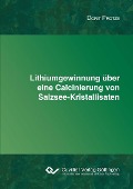 Cover-Bild zum Titel 'Lithiumgewinnung über eine Calcinierung von Salzsee-Kristallisaten' von ''