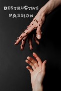 Cover-Bild zum Titel 'Destructive Passion' von 'Rafael Lima'
